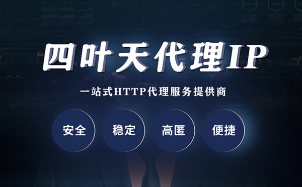 【阿勒泰代理IP】代理ip客户端使用教程