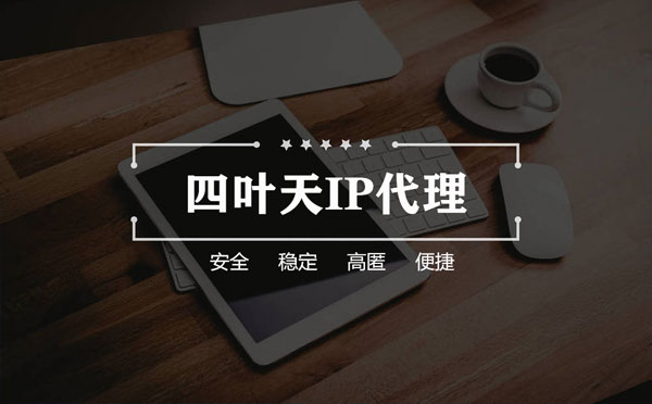 【阿勒泰代理IP】如何快速搭建代理IP？怎么检查代理的效果？